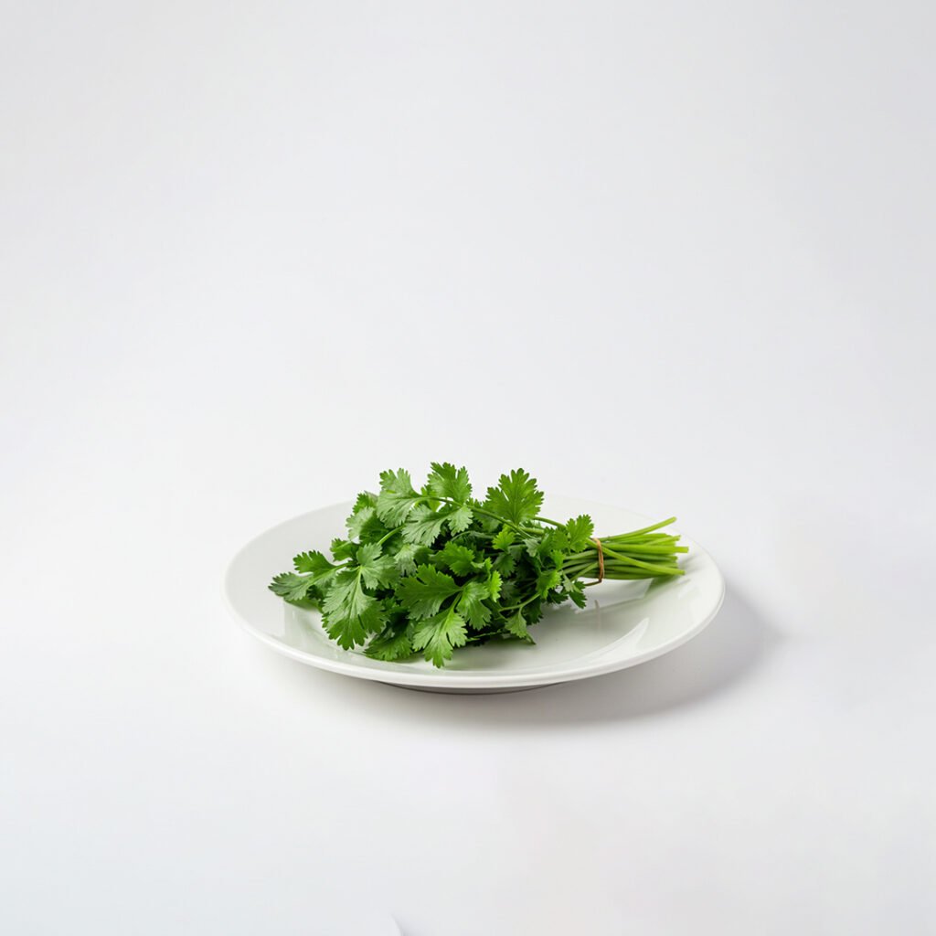 Coriander Leaf (Kothamalli)